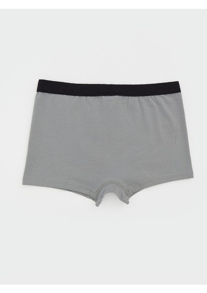 Yeni Sezon Basic Erkek Çocuk Boxer fiyatları