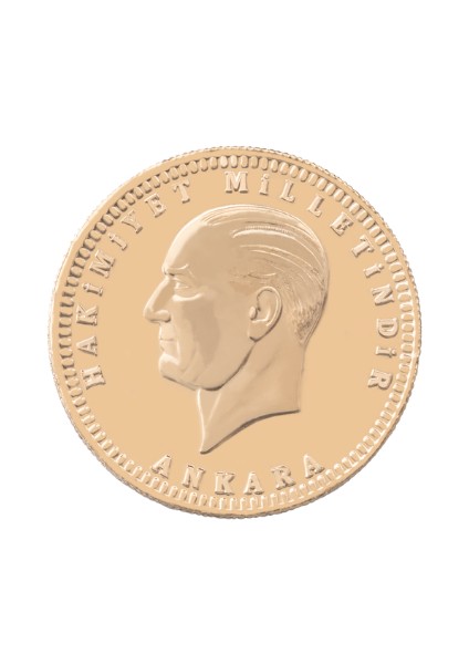 2 Adet Yeni Ata Lira modelleri