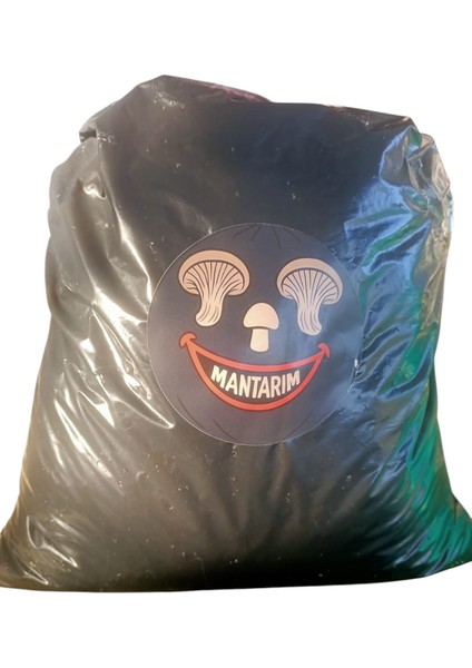 6 kg Istiridye Mantarı Kompostu ( Mantar Çıkımına Hazır, Yetiştirme Kılavuzu ile Birlikte) fiyatları