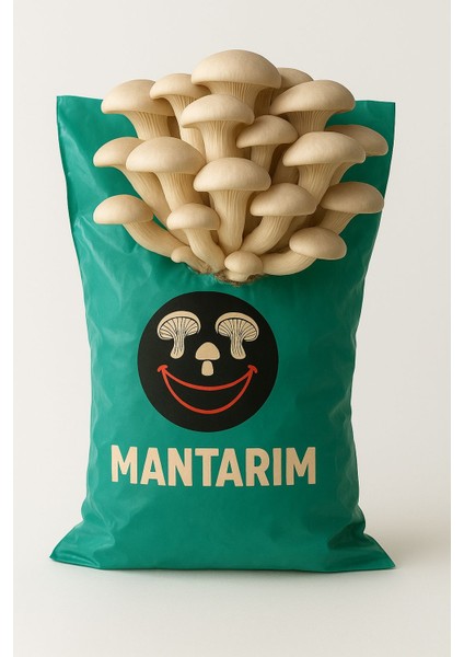 6 kg Istiridye Mantarı Kompostu ( Mantar Çıkımına Hazır, Yetiştirme Kılavuzu ile Birlikte) fırsatları