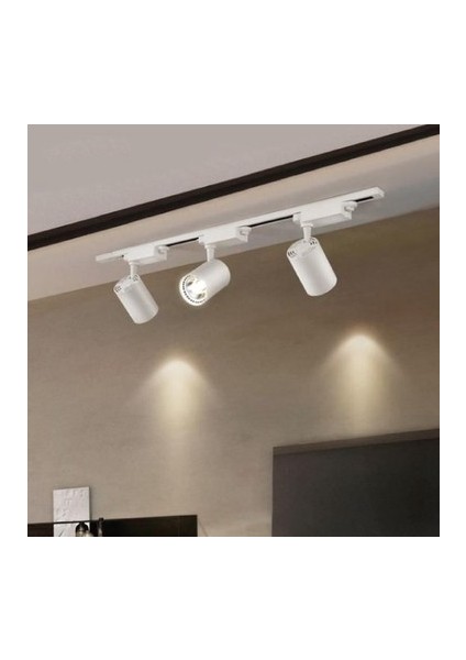30 Watt Ray Spot Set Beyaz Kasa Beyaz Günışığı Renk Seçenekli 1 mt Ray Dahil