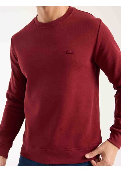 Bisiklet Yaka Bordo Regular Fit Paris Arma Uzun Kol fırsatları