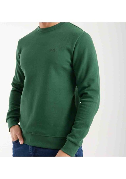 Bisiklet Yaka Nefti Regular Fit Uzun Kol Paris Arma