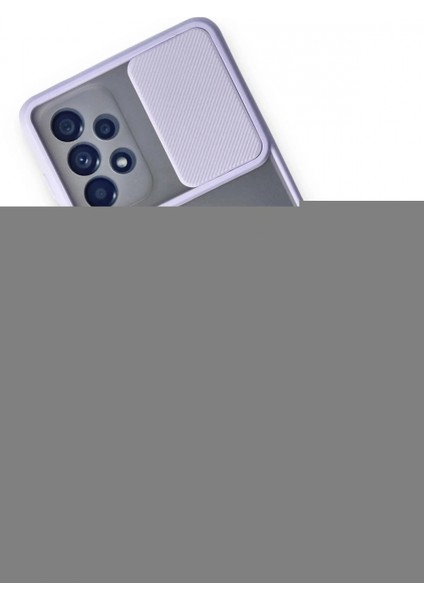 Ieg Samsung Galaxy A53 5g Kılıf Palm Buzlu Kamera Sürgülü Silikon - Lila modelleri