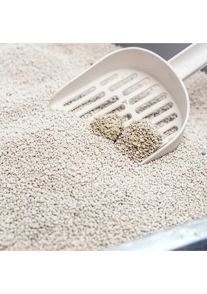 Proline Vanilya Kokulu Topaklanan Bentonit Kedi Kumu Ince 10 Lt fiyatları