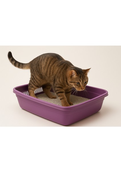 Runaway Süzgeçli Kedi Tuvaleti - Kum Tasarruflu ve Kolay Temizlik