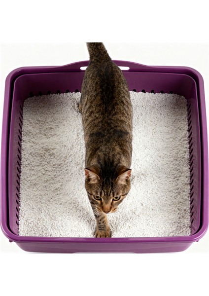 Runaway Süzgeçli Kedi Tuvaleti - Kum Tasarruflu ve Kolay Temizlik fırsatları
