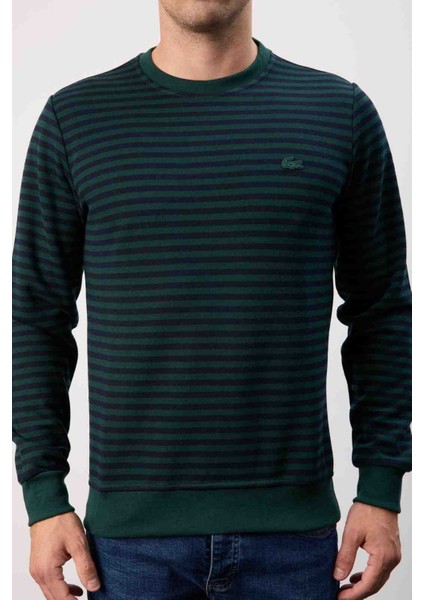 Bisiklet Yaka Regular Fit Nefti Çizgili Uzun Kol