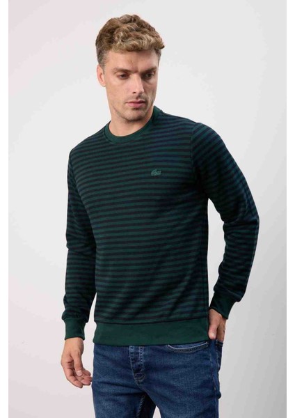 Bisiklet Yaka Regular Fit Nefti Çizgili Uzun Kol modelleri