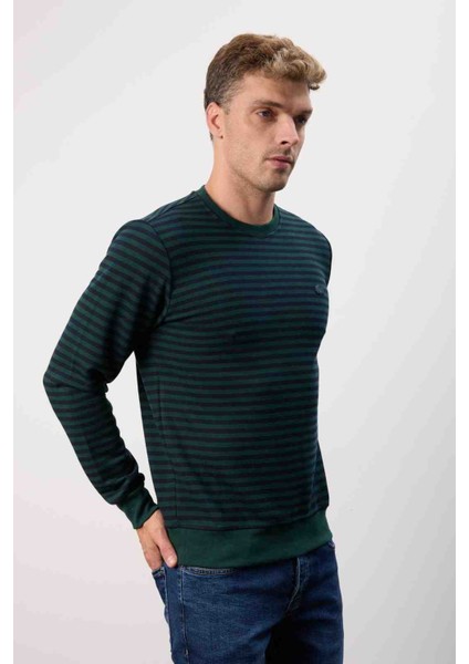 Bisiklet Yaka Regular Fit Nefti Çizgili Uzun Kol indirimleri