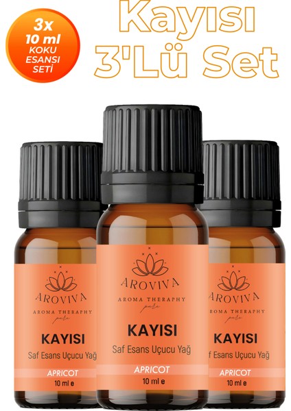 Kayısı 3'lü Oda Kokusu Seti - Sulu & Tatlı Meyve (3X10ML)