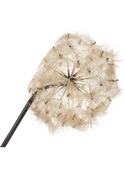 Karahindiba Gül Kurusu Yapay Çiçek 100CM