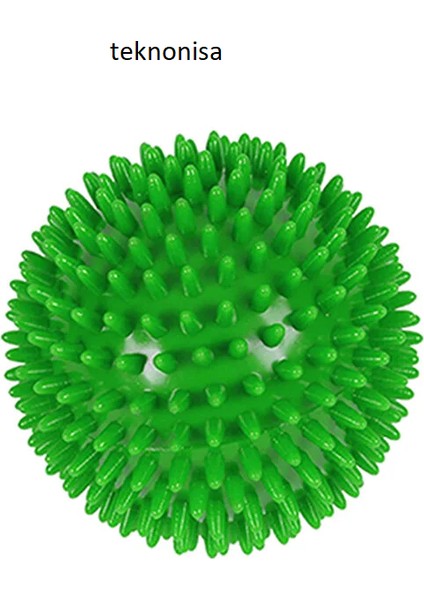 2 Liduyu Uyarıcı Sert Dikenli Masaj Topu El Ayak Vücut Egzersiz Fizik Tedavi fırsatları