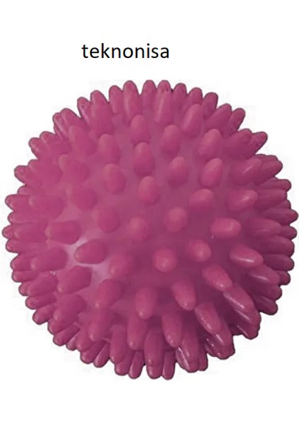 1 Adet Duyu Uyarıcı Sert Dikenli Masaj Topu El Ayak Vücut Egzersiz Fizik Tedavi fiyatları