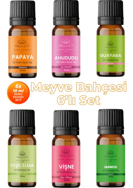 Meyve Bahçesi 6'lı Set Oda Kokusu Esansı - Neşeli Meyveler (6X10ML)