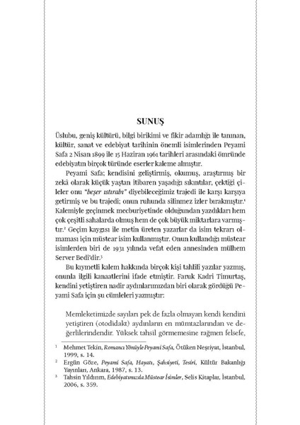 Peyami Safa ile 25 Yıl - Vecdi Bürün - Haz. Tahsin Yıldırım