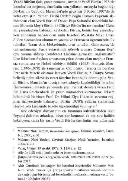 Peyami Safa ile 25 Yıl - Vecdi Bürün - Haz. Tahsin Yıldırım