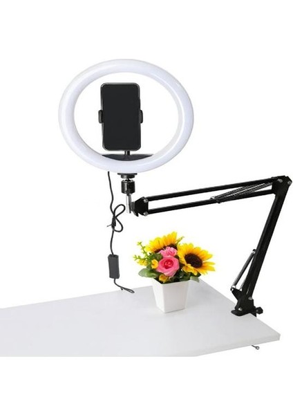 10 Inç 26 cm Ring Light Esnek Masaüstü Mengeneli Tiktoker Ring Light LED Selfie Yayın Işığı