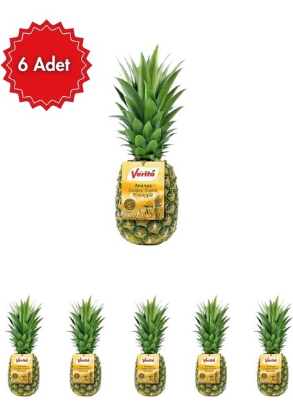 Ananas 6'lı Avantaj Paketi (Taze & Sulu Tropikal Lezzet)