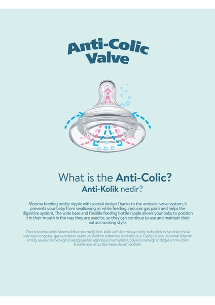 Kindy 150 ve 250 ml Biberon Başlangıç Seti fiyatları