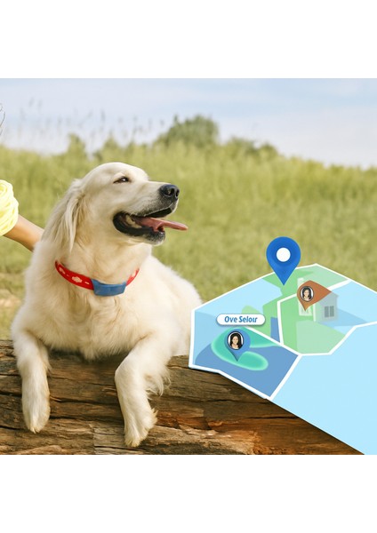 Evcil Hayvan Gps Kedi & Köpek Için Konum Belirleyici Suya Dayanıklı, Sesli Uyarı fiyatları
