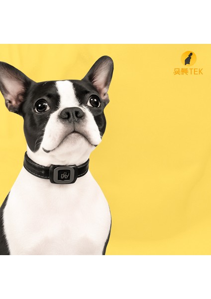 Akıllı Otomatik Havlama Eğitim Köpek Tasması 3 Modlu Eğitim Cihazı Şarjlı Su Geçirmez Titreşimli