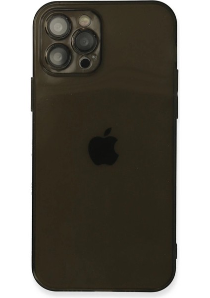 Iphone 12 Pro Max Kılıf Fly Lens Silikon - Siyah