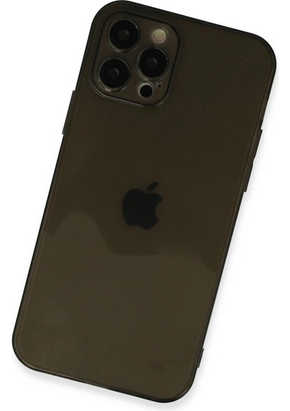 Iphone 12 Pro Max Kılıf Fly Lens Silikon - Siyah modelleri