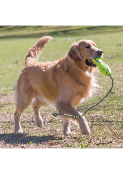 Air Dog Fetch Stik İpli Köpek Oyuncağı L