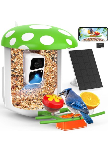Akıllı Kuş Yemliği, Kamera, 2k Canlı Gerçek Zamanlı Uyarı - Yeşil