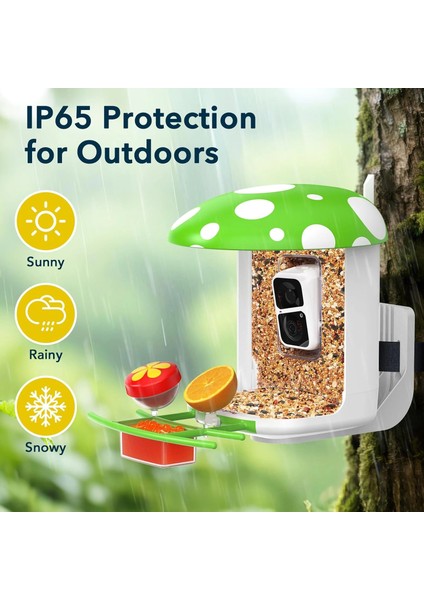 Akıllı Kuş Yemliği, Kamera, 2k Canlı Gerçek Zamanlı Uyarı - Yeşil fiyatları