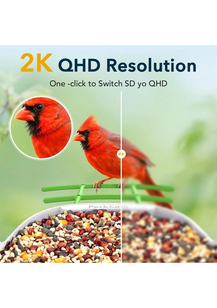 Akıllı Kuş Yemliği, Kamera, 2k Canlı Gerçek Zamanlı Uyarı - Yeşil modelleri