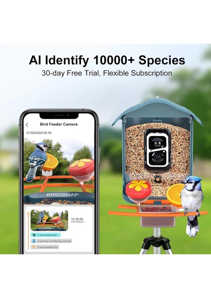 Pav - Akıllı Kuş Yemliği, Güneş Enerjili Kamera 2k Hd - Mavi fiyatları