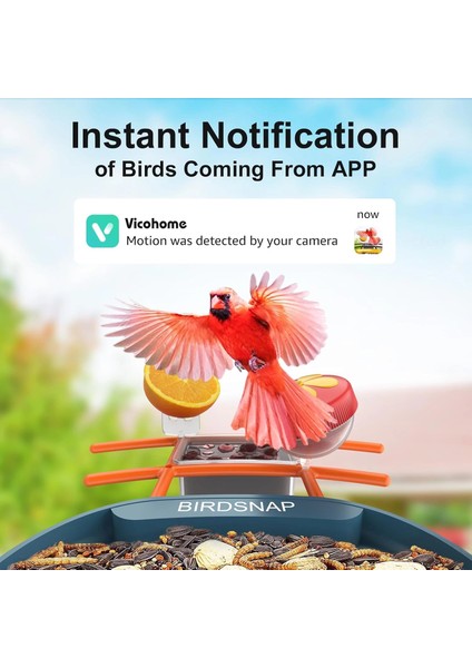 Pav - Akıllı Kuş Yemliği, Güneş Enerjili Kamera 2k Hd - Mavi modelleri