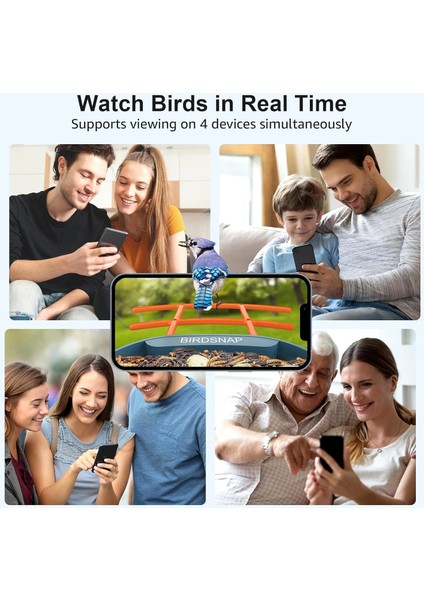 Pav - Akıllı Kuş Yemliği, Güneş Enerjili Kamera 2k Hd - Mavi fırsatları