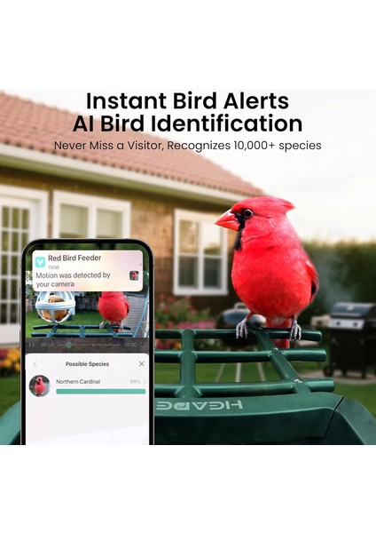 Kamera, Güneş Enerjili 2k Hd Video - Kırmızı fırsatları