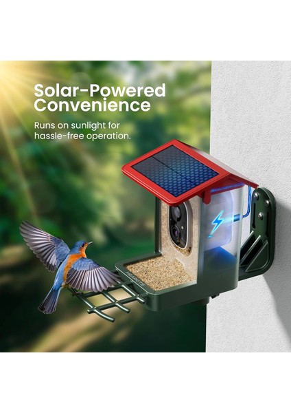 Kamera, Güneş Enerjili 2k Hd Video - Kırmızı indirimleri