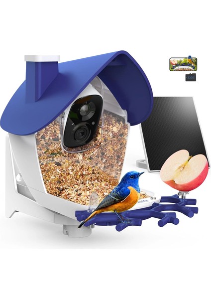 P33 - Güneş Enerjili 2k Video Canlı Kuş Kamerası Yemliği - Mavi