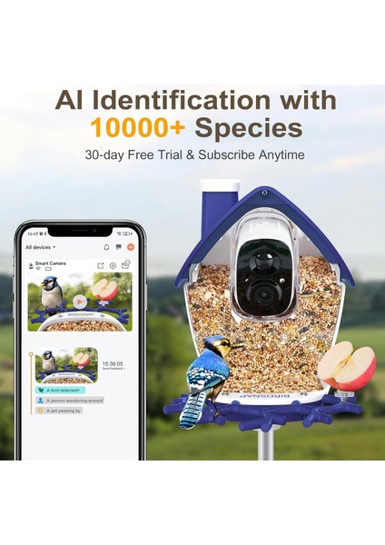 P33 - Güneş Enerjili 2k Video Canlı Kuş Kamerası Yemliği - Mavi fiyatları