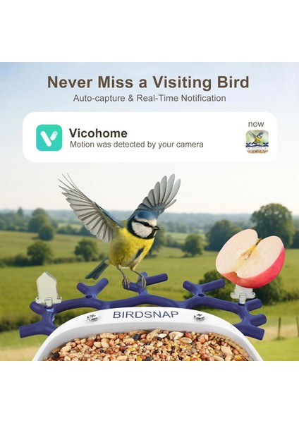 P33 - Güneş Enerjili 2k Video Canlı Kuş Kamerası Yemliği - Mavi indirimleri