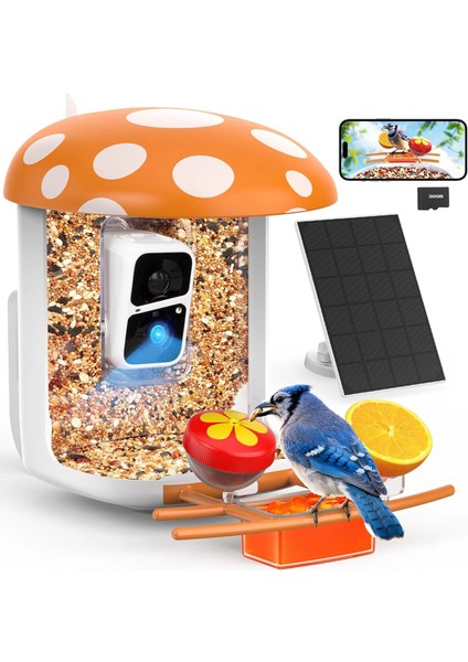Akıllı Kuş Yemliği, Kamera, 2k Canlı Gerçek Zamanlı Uyarı - Turuncu