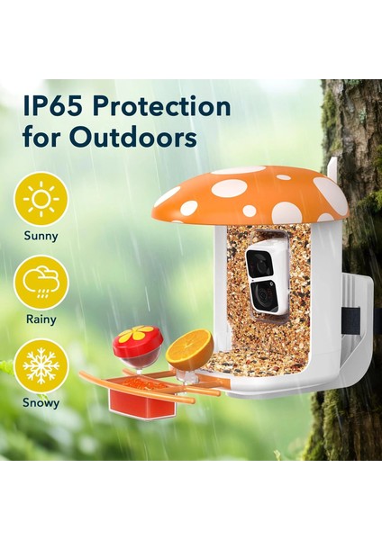 Akıllı Kuş Yemliği, Kamera, 2k Canlı Gerçek Zamanlı Uyarı - Turuncu fiyatları