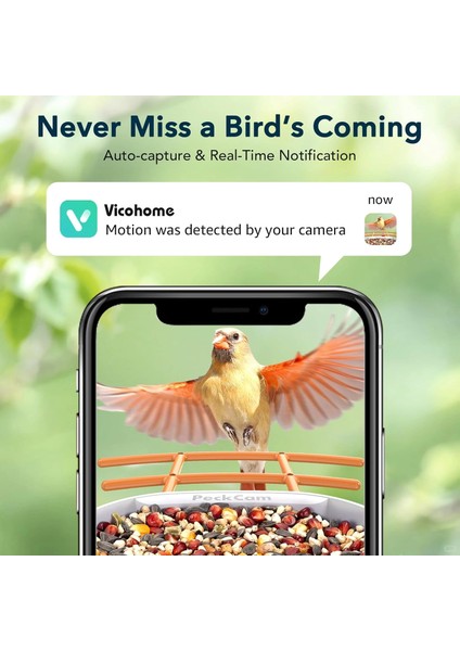 Akıllı Kuş Yemliği, Kamera, 2k Canlı Gerçek Zamanlı Uyarı - Turuncu fırsatları