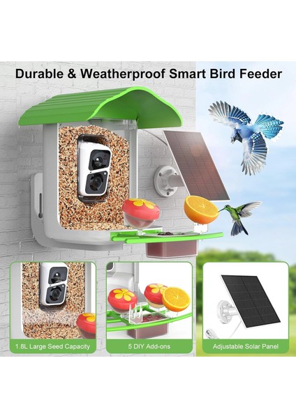 Pav - Akıllı Kuş Yemliği, Güneş Enerjili Kamera 2k Hd - Yeşil modelleri
