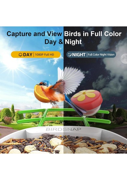 Pav - Akıllı Kuş Yemliği, Güneş Enerjili Kamera 2k Hd - Yeşil fırsatları