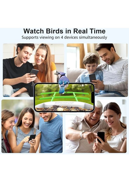 Pav - Akıllı Kuş Yemliği, Güneş Enerjili Kamera 2k Hd - Yeşil indirimleri
