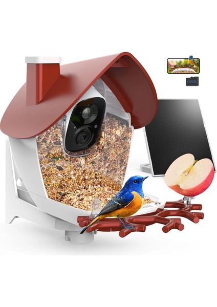 P33 - Güneş Enerjili 2k Video Canlı Kuş Kamerası Yemliği - Kırmızı