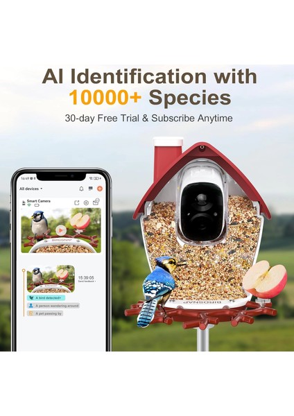 P33 - Güneş Enerjili 2k Video Canlı Kuş Kamerası Yemliği - Kırmızı fiyatları