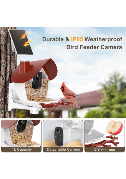 P33 - Güneş Enerjili 2k Video Canlı Kuş Kamerası Yemliği - Kırmızı fırsatları