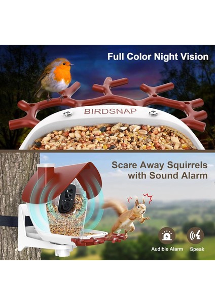P33 - Güneş Enerjili 2k Video Canlı Kuş Kamerası Yemliği - Kırmızı indirimleri